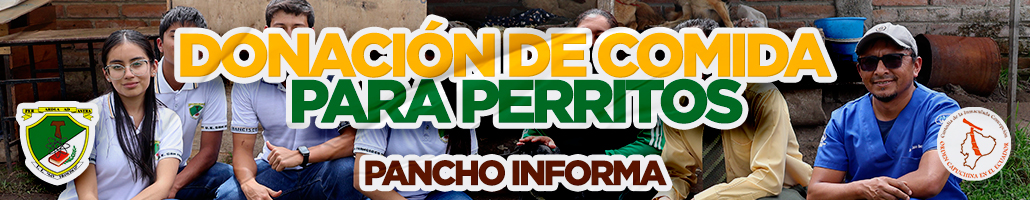 Patitas Solidarias 2025 - 2026